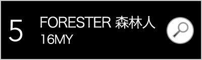 FORESTER 森林人