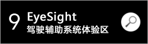 EyeSight